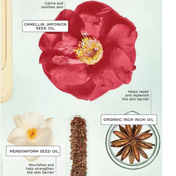 π 4 for $25π  REN EVERCALM BARRIER SUPPORT ELIXIR - Picture 4 of 9